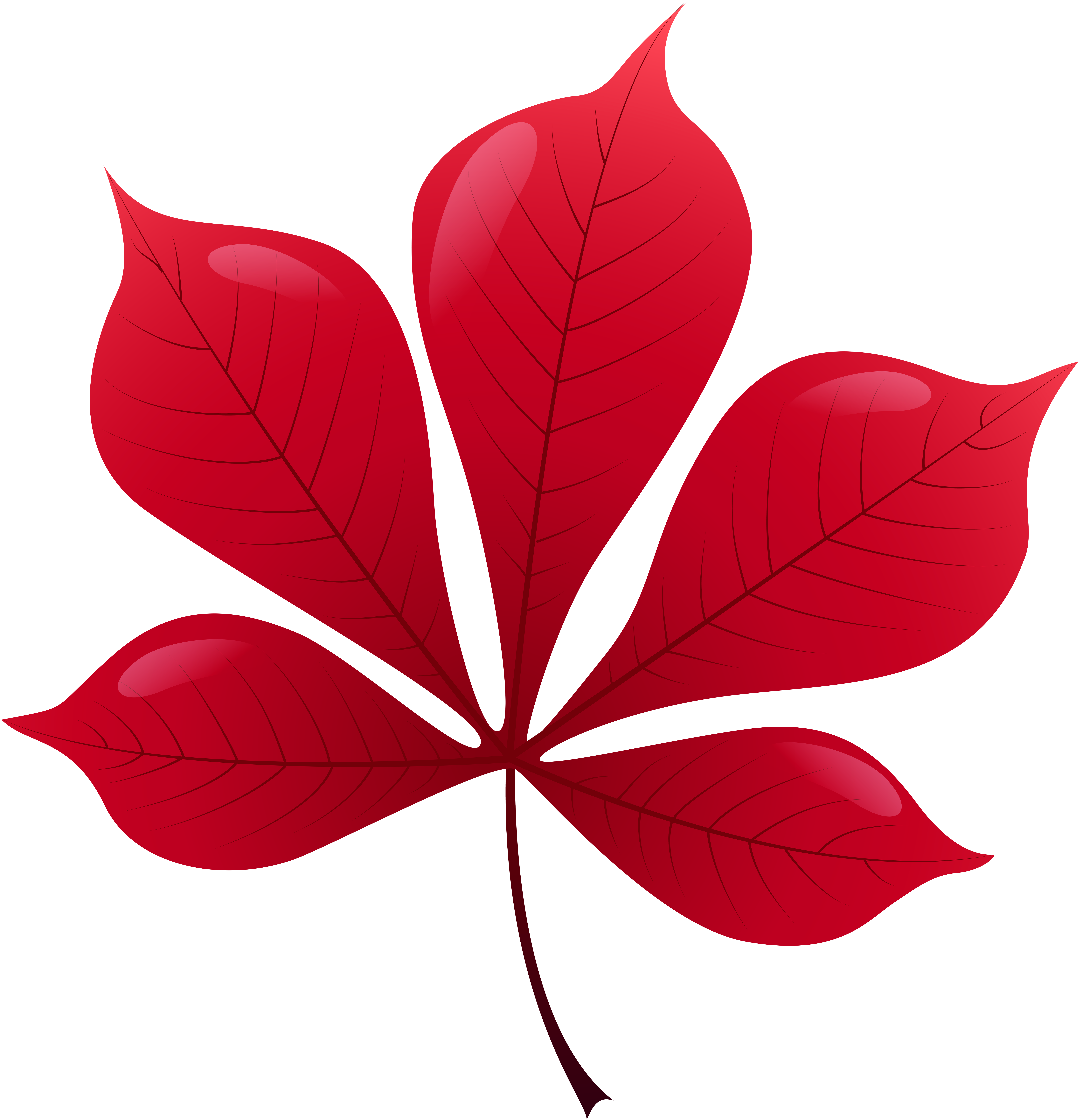 picture clipart leaf