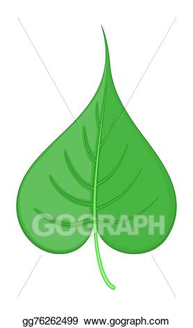 Vector art fresh drawing. Clipart leaf pipal