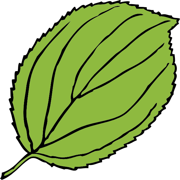 pumpkin clipart leaf