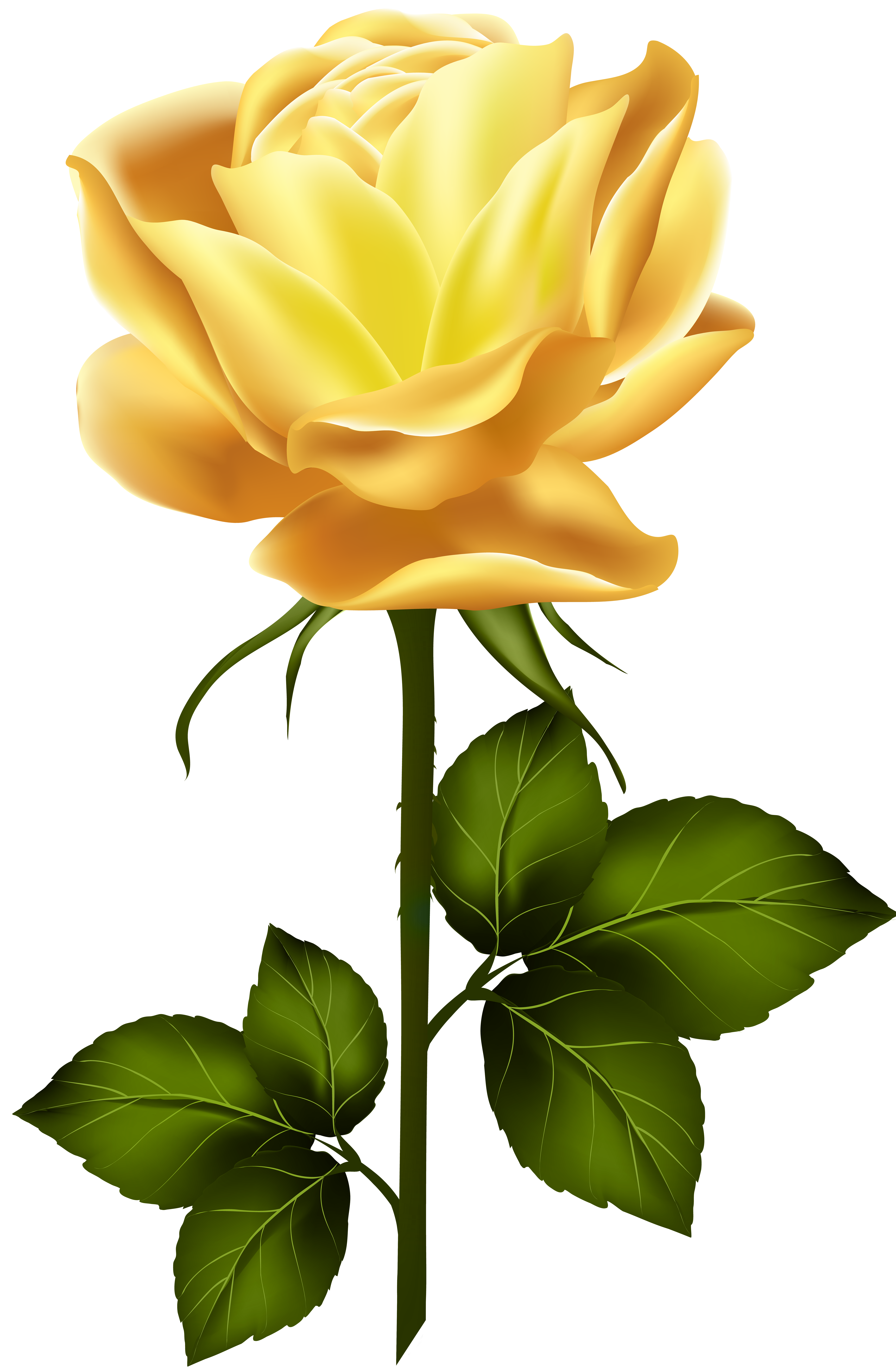 Rose clipart yellow rose. With stem png clip