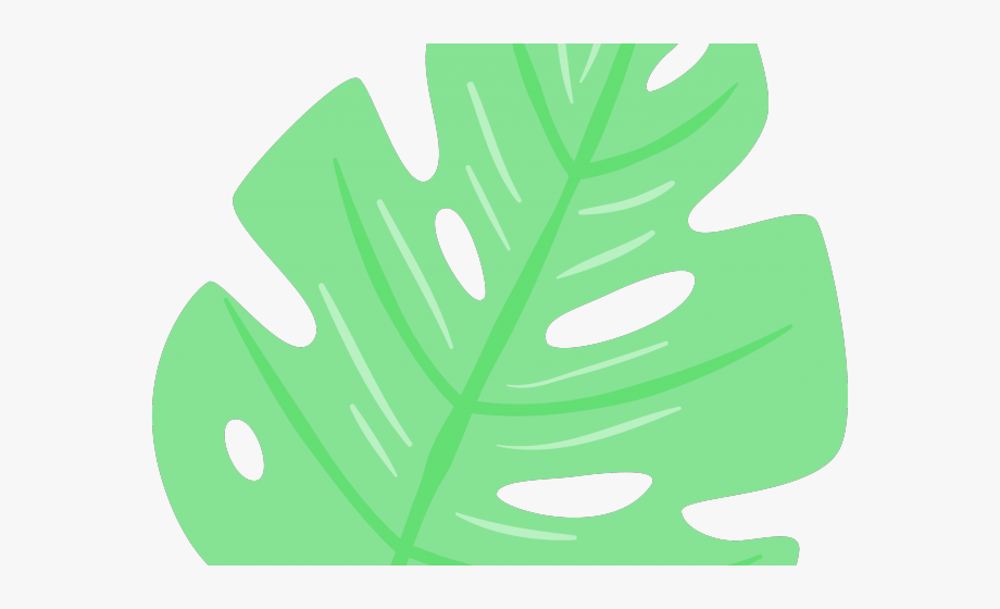 Free cliparts on clipartwiki. Clipart leaf summer