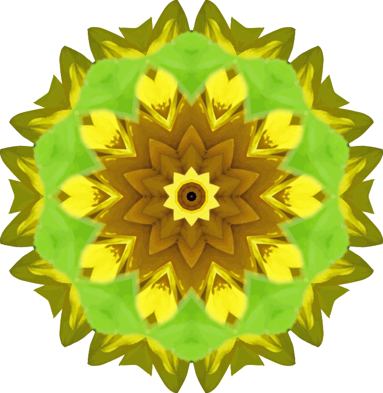 leaf clipart sunflower