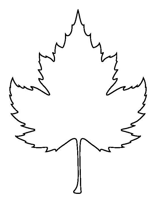 clipart leaf sycamore tree