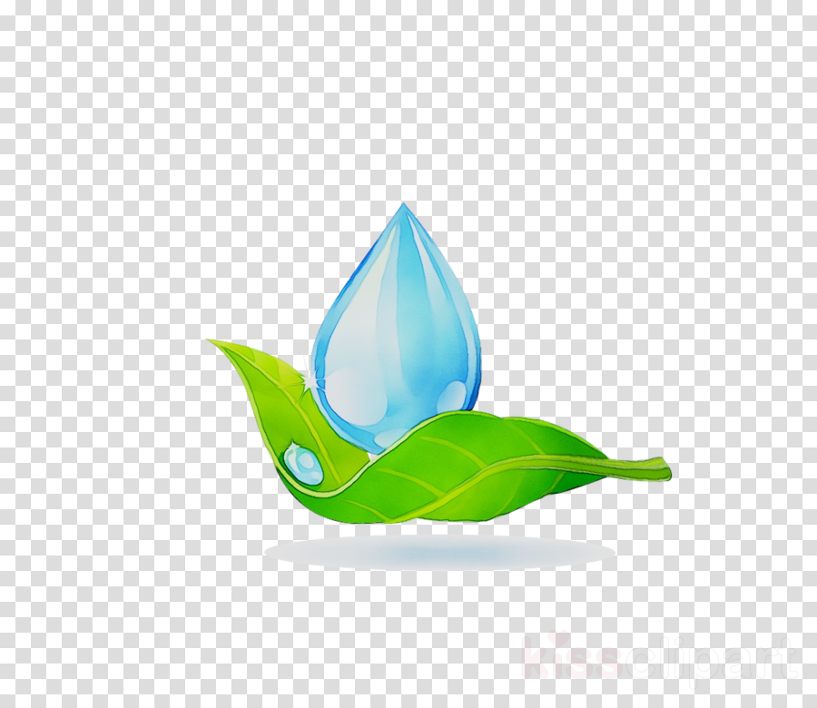 leaf clipart water
