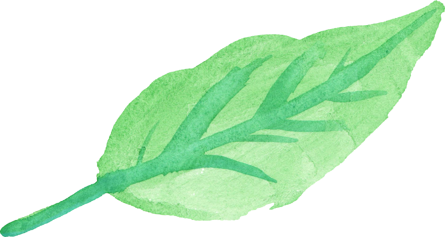 clipart leaf watercolor