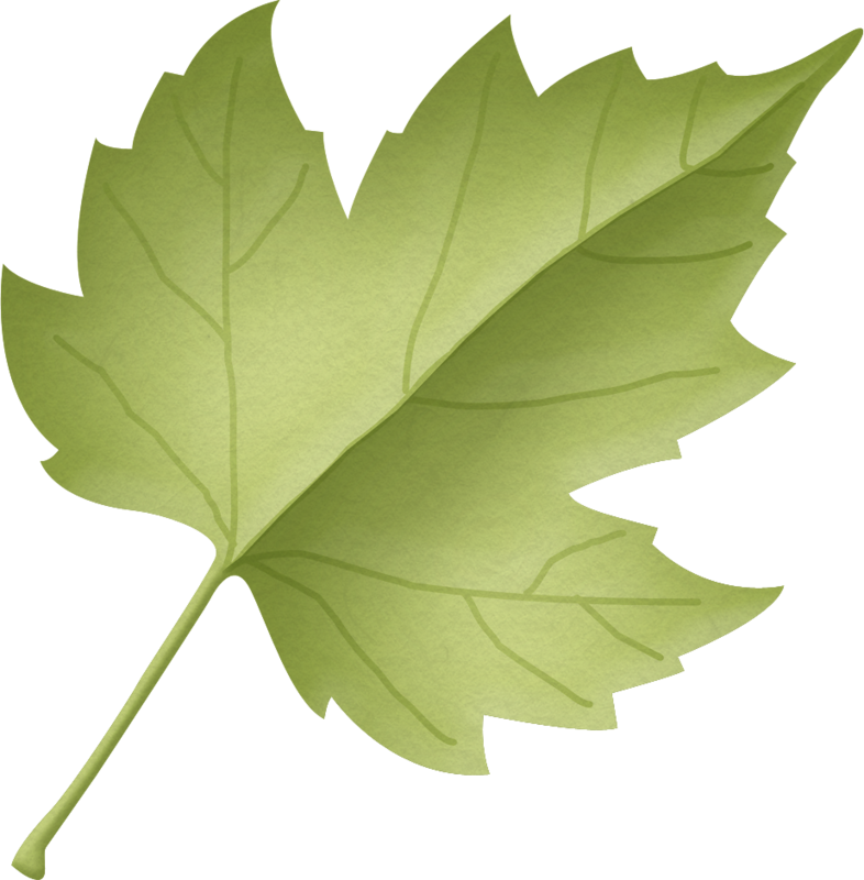 clipart leaf woodland