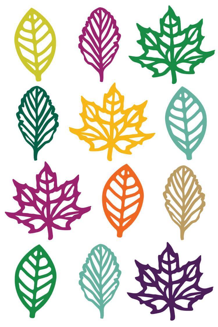 clipart leaves 10 leave