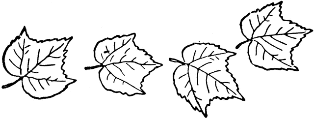 clipart leaves 4 leaves