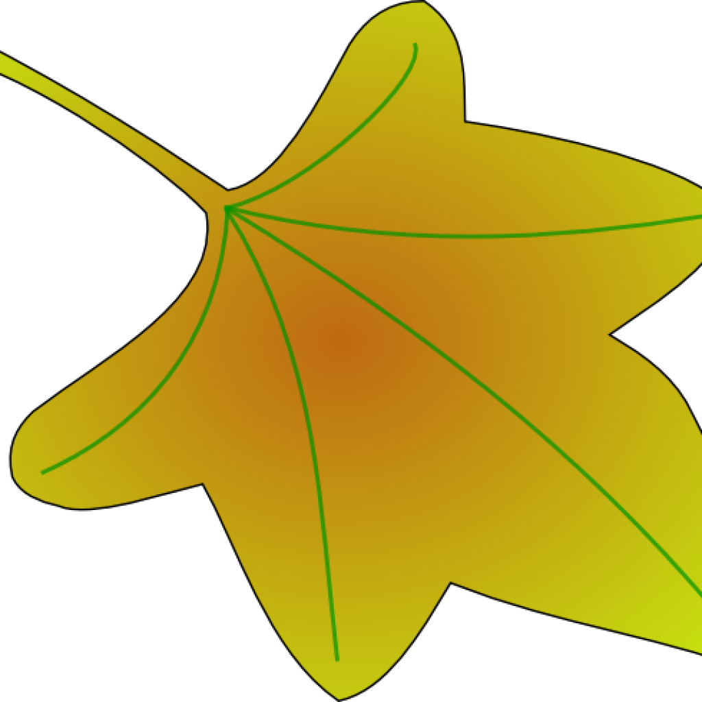 clipart leaves 5 leave