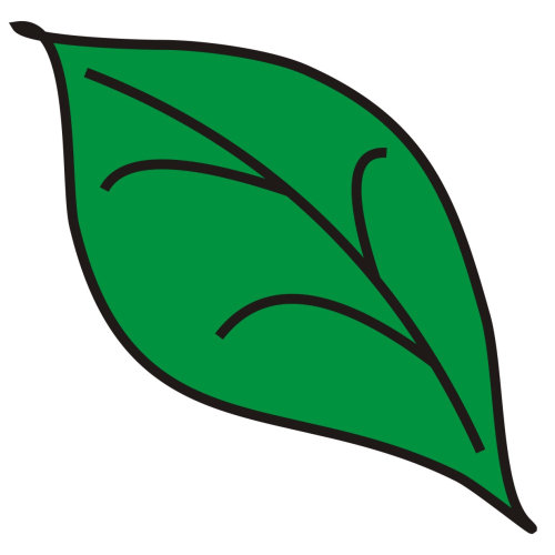 clipart leaves ash leaf