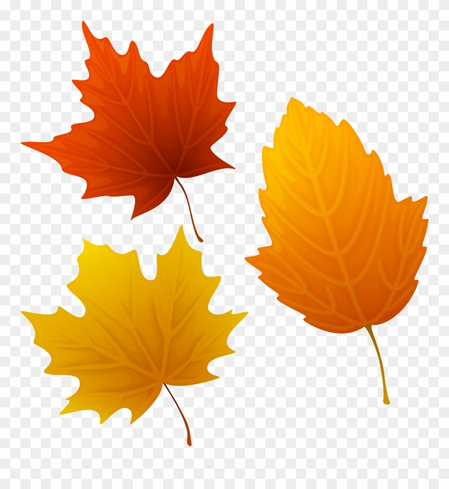 clipart leaves autumn leaves