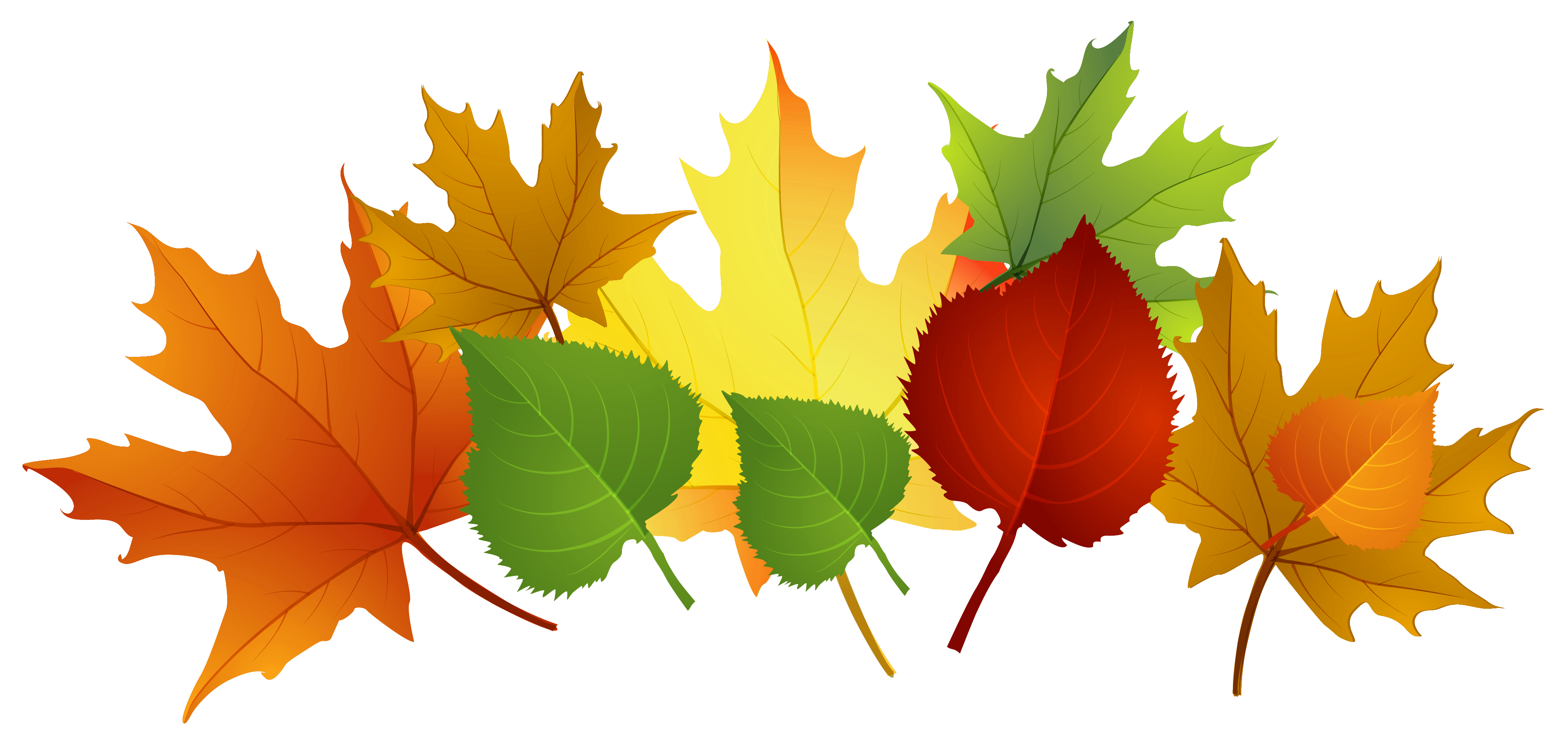 september clipart colored leave