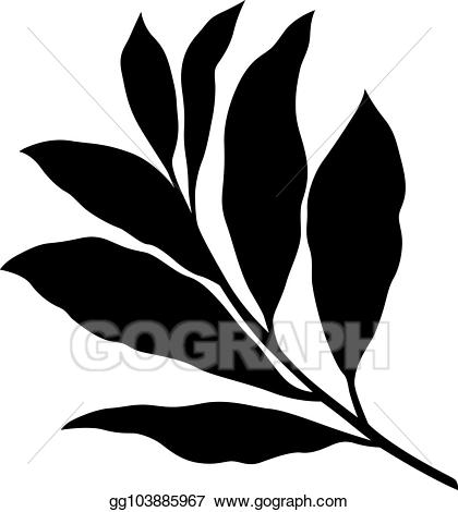 Vector art drawing gg. Leaves clipart bay leaves