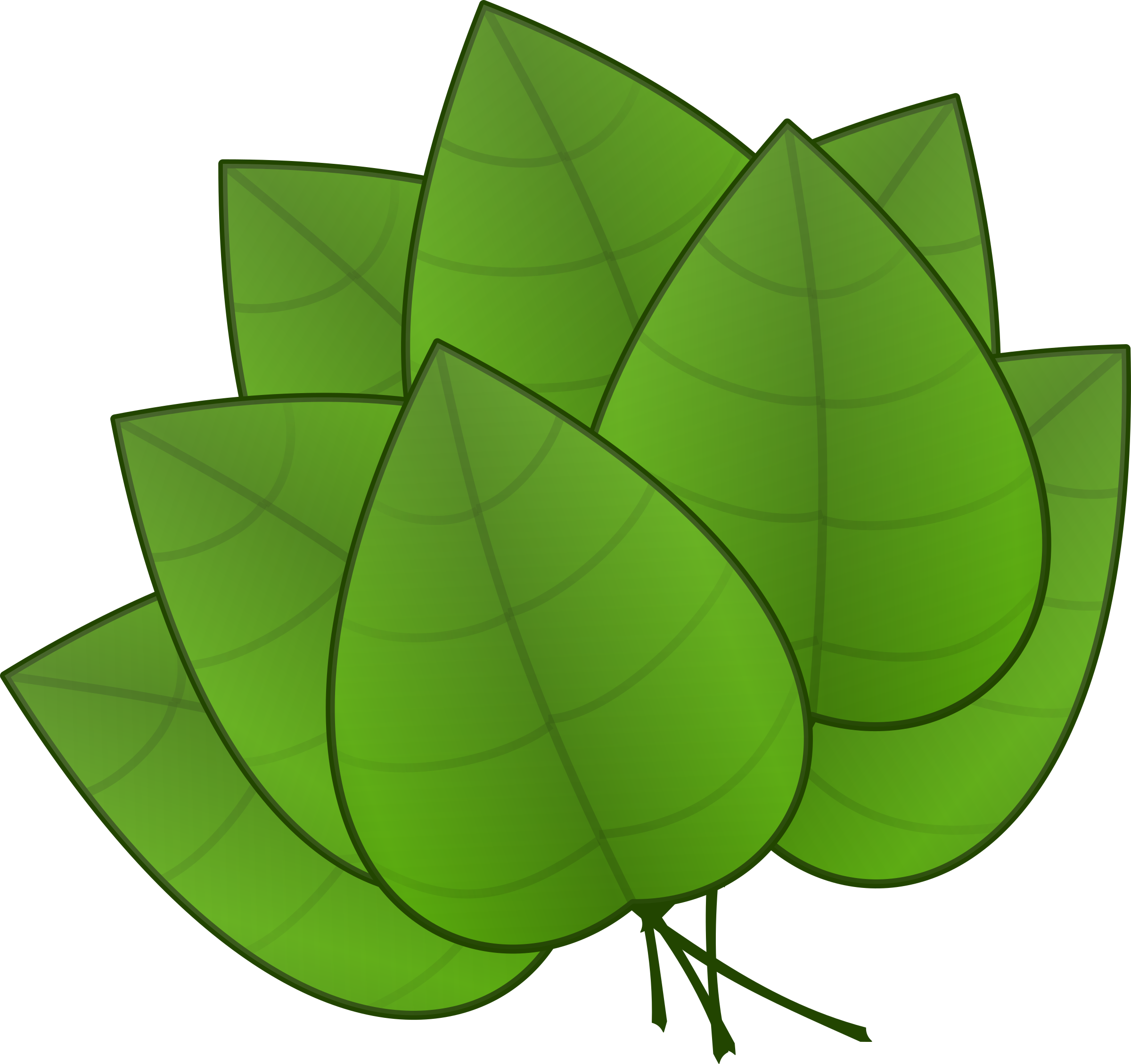 clipart leaves big leaf