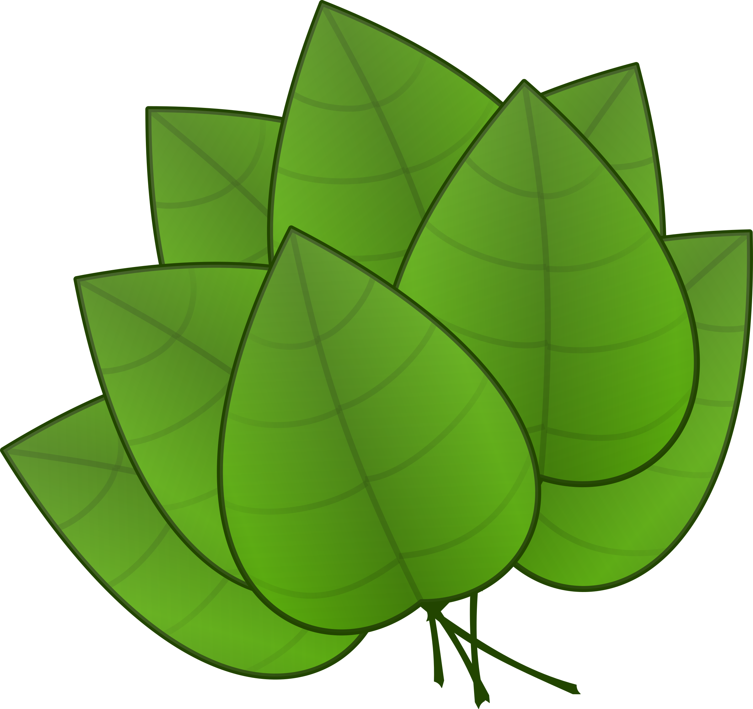 leaves clipart big leaf