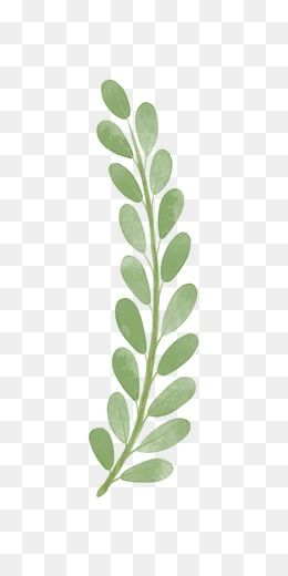clipart leaves branch