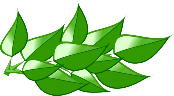 leaves clipart bunch leaves