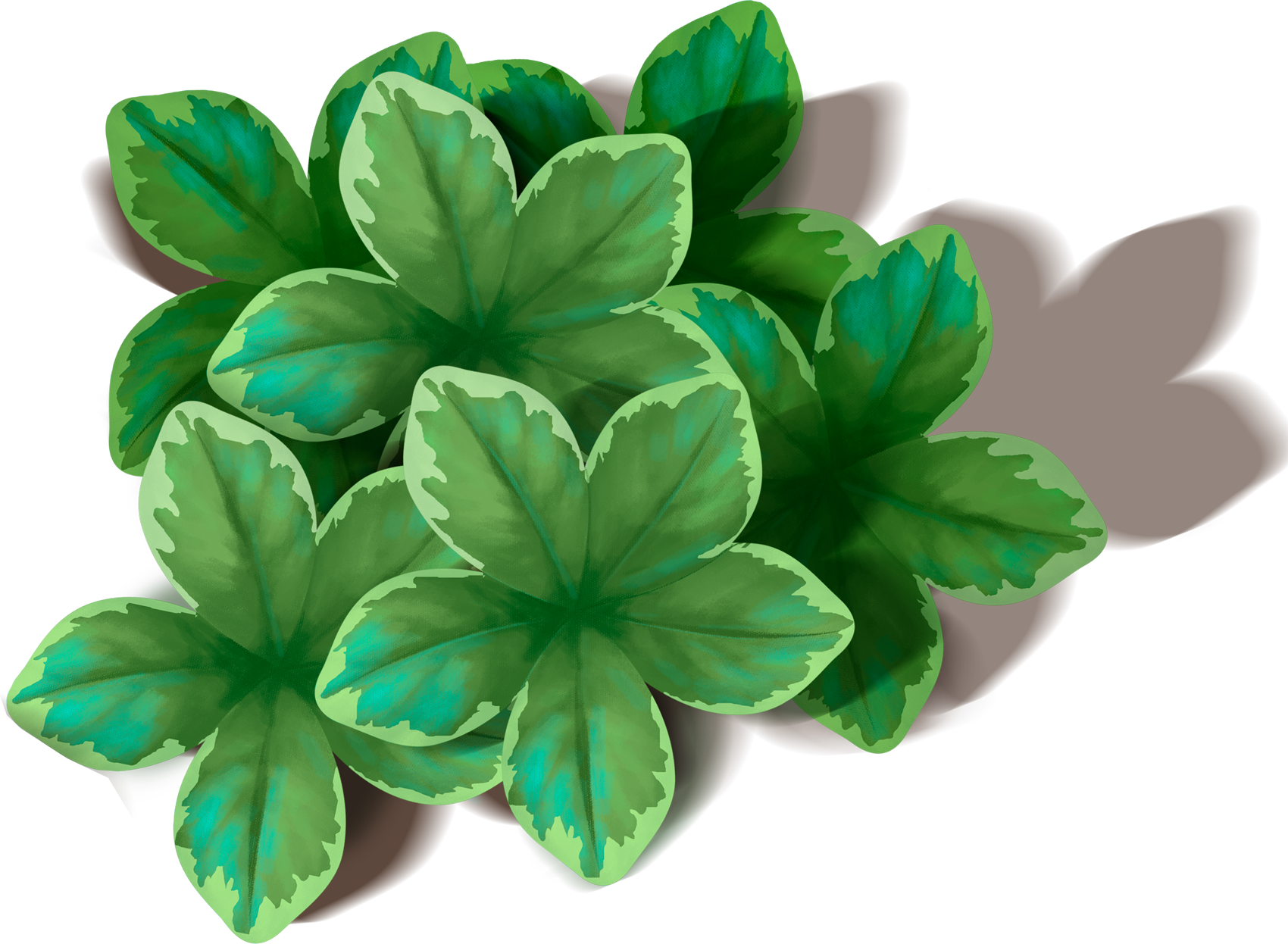 clipart leaves bunch leaves