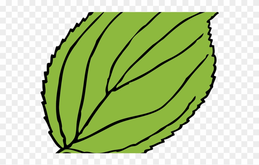 clipart leaves cartoon