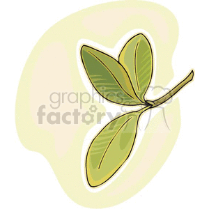 clipart leaves coca plant