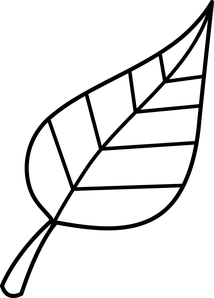 leaf clipart outline
