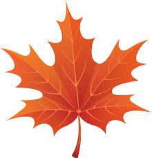 clipart leaves coloured leave