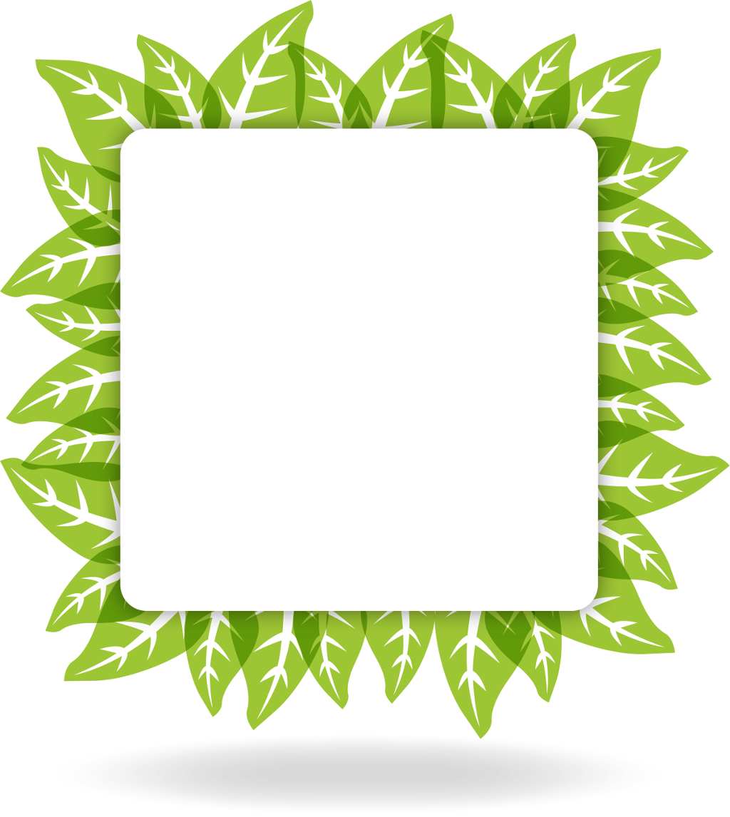 Frame green rectangle square. Leaves clipart eco