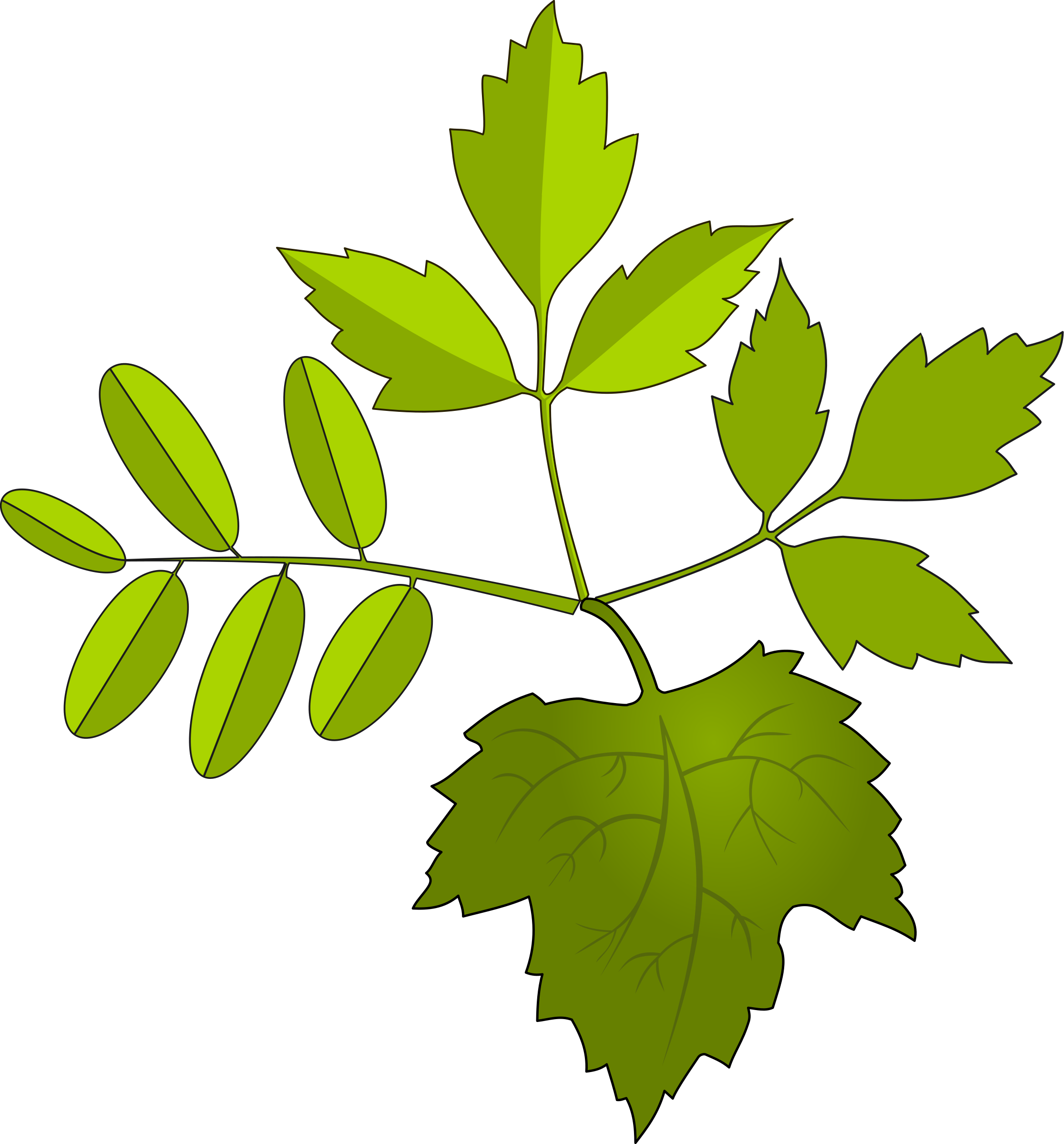 clipart leaves foilage