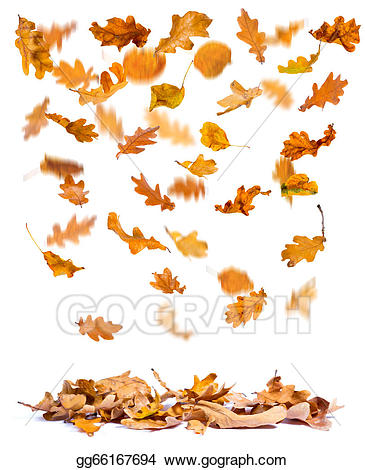leaves clipart ground clipart