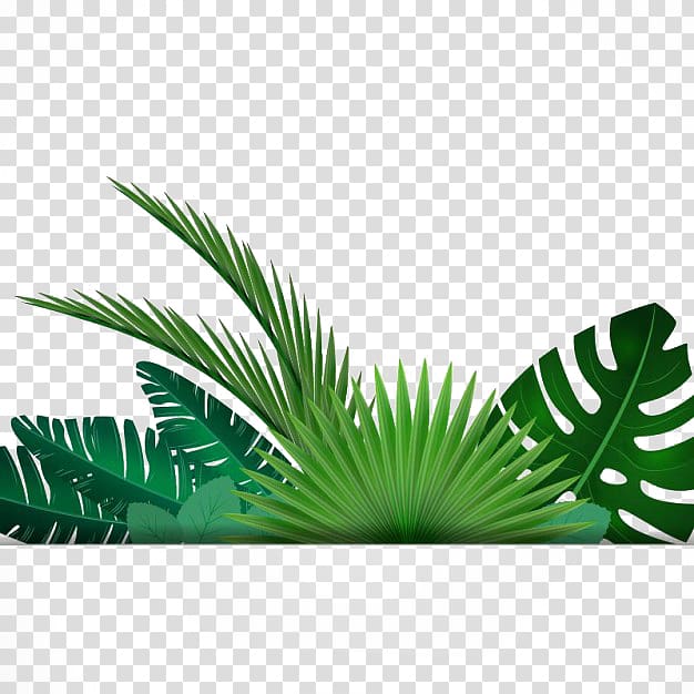 Clipart leaves illustration. Green leaf tropics banana
