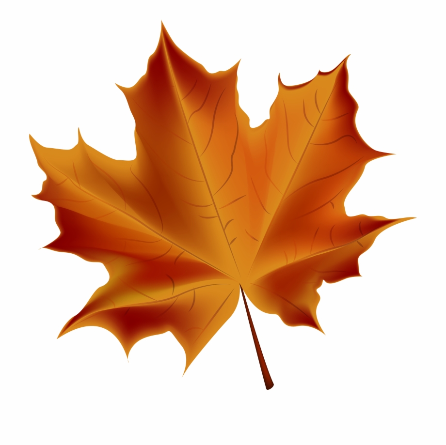 Leaves clipart transparent background. Beautiful red autumn png