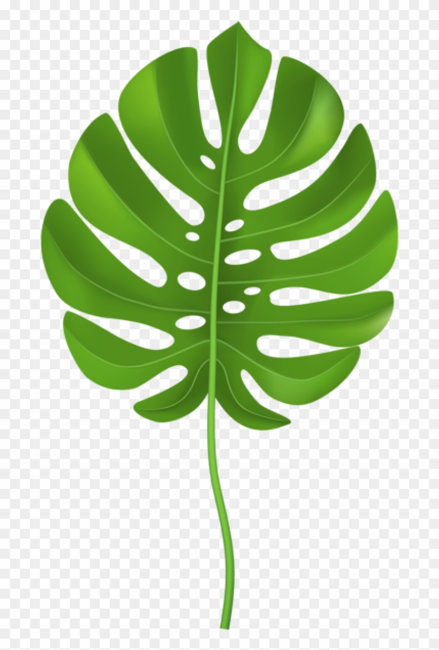 clipart leaves jungle