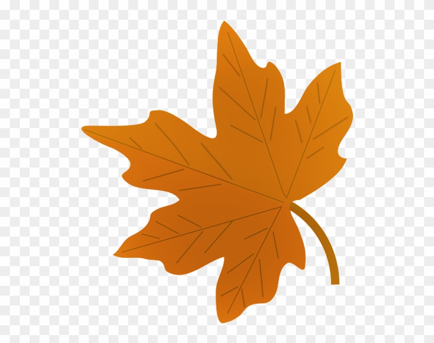 clipart leaves leaf drawing
