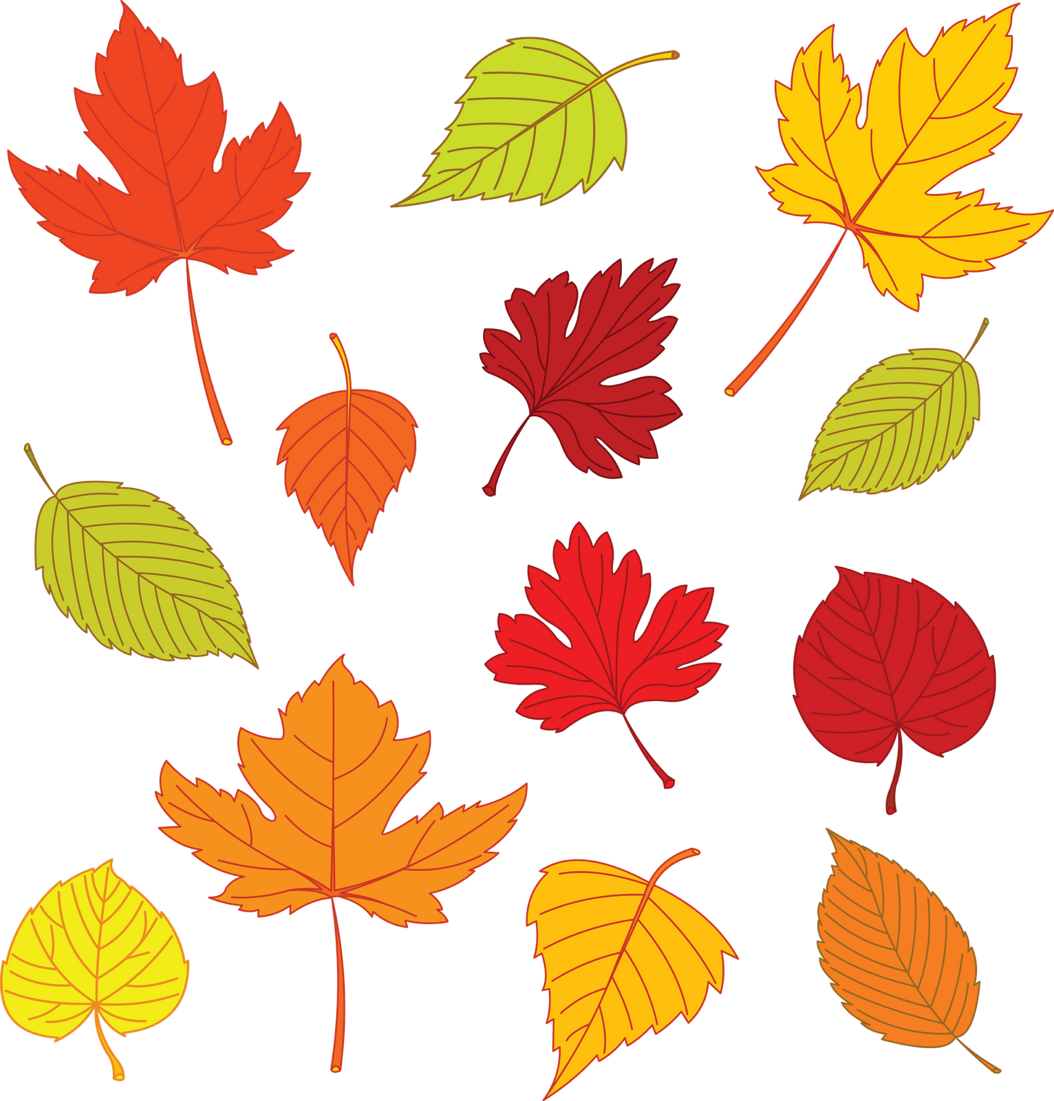 clipart leaves leaf pattern
