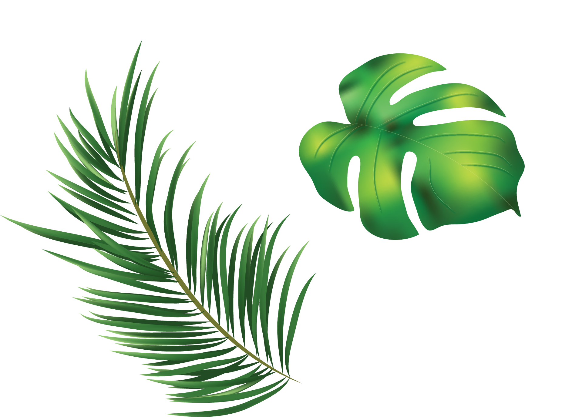 clipart leaves leaves grass