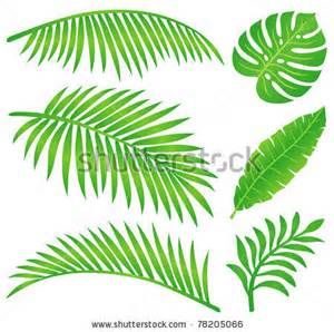 Clipart leaves leaves hawaii. Hawaiian clip art images