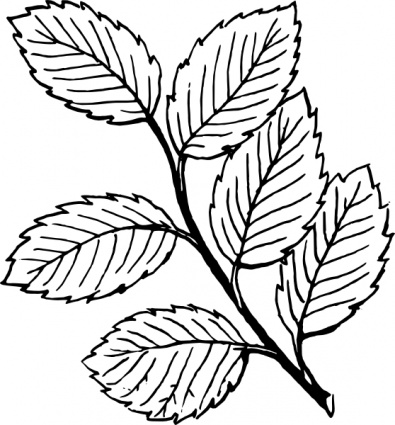 clipart leaves line