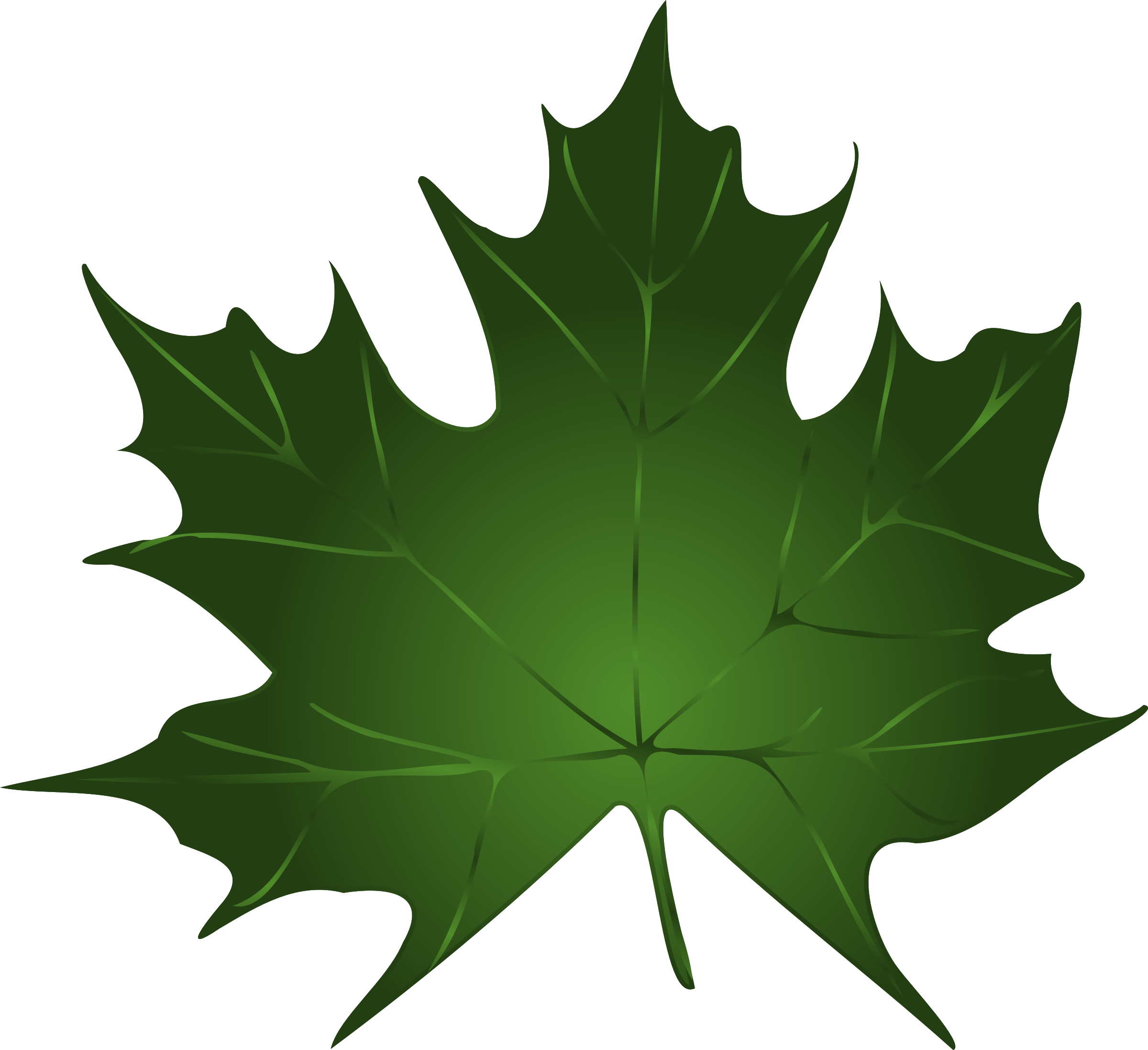 Clipart leaves maple leaf. Lapas big image png