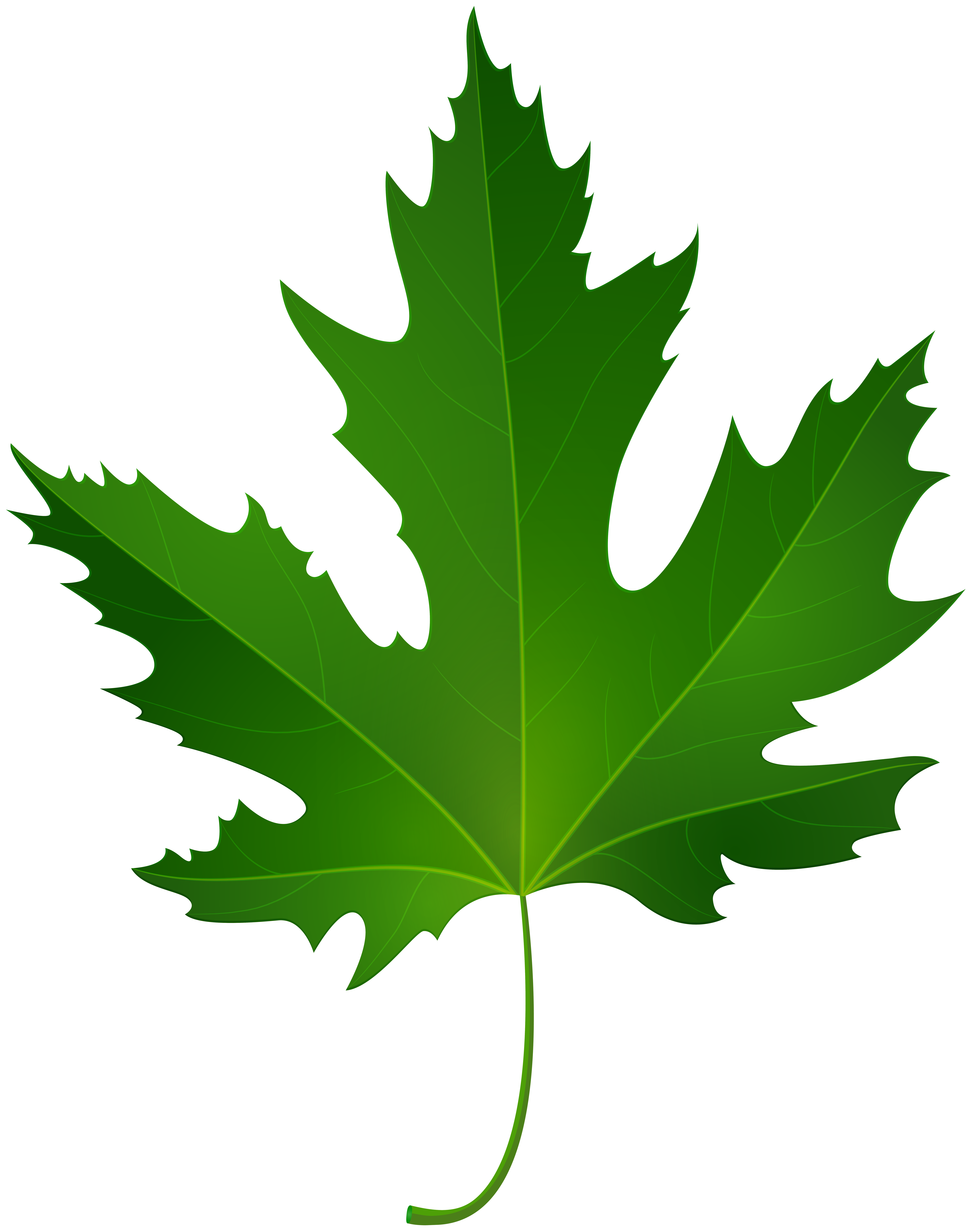 outdoors clipart leaf