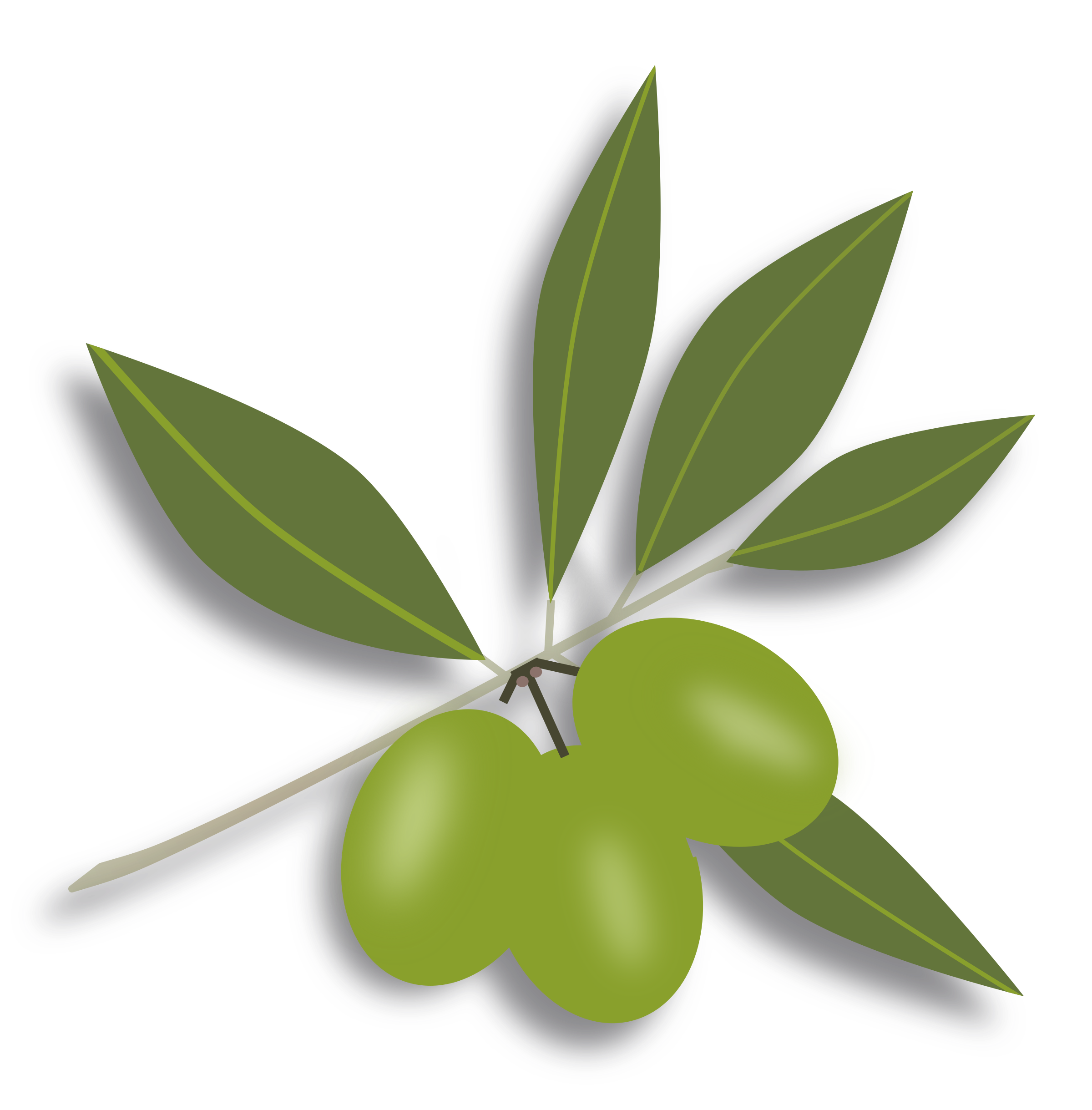 leaves clipart olive