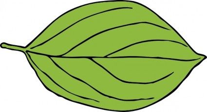 clipart leaves oval leaf