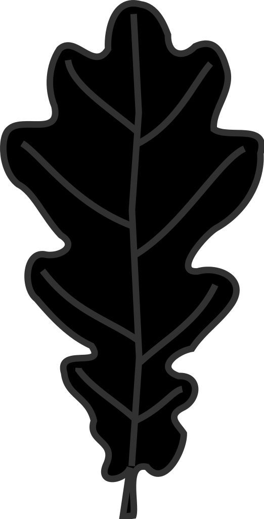 White oak leaf silhouette. Leaves clipart pan leaves