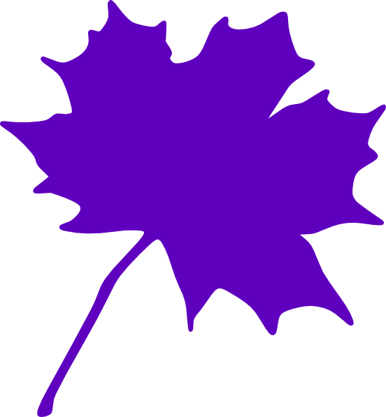 Leaves purple leaves