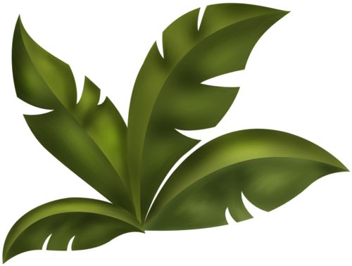 clipart leaves rainforest