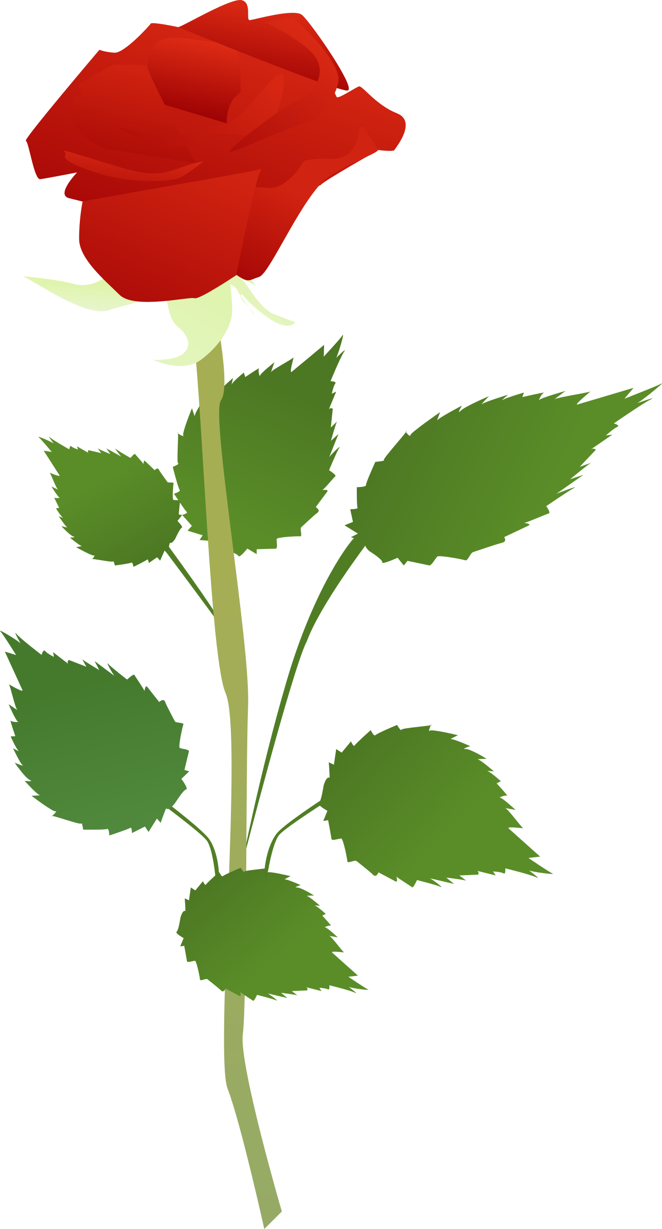 clipart leaves rose