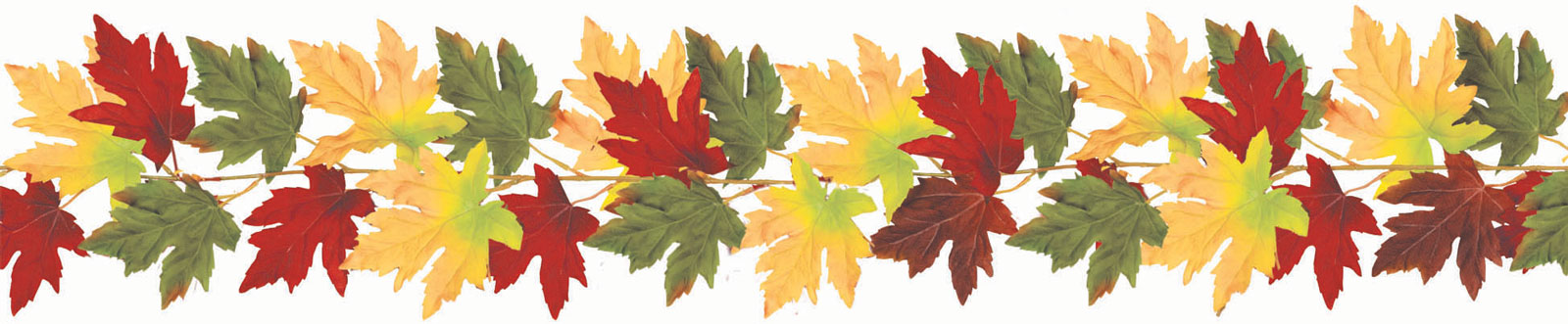 leaves clipart row leaves