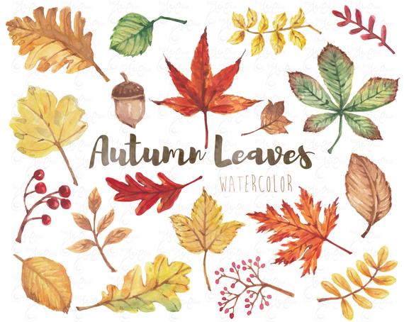 Watercolor autumn . Clipart leaves season