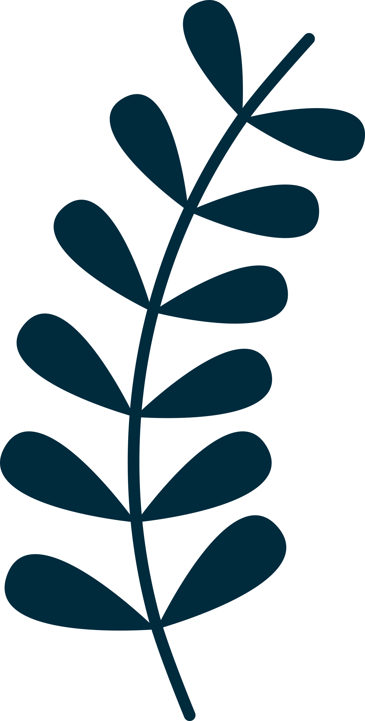 tree clipart vine