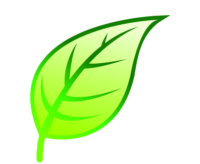 leaves clipart single green leave