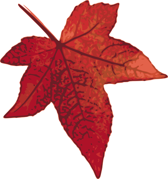 leaves clipart red fall leaf
